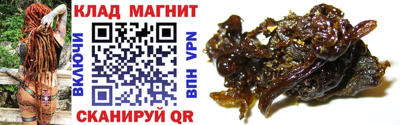 Купить закладку Конопля  COCAIN  Гашиш  МДМА  Меф мяу мяу  СК  Демидов