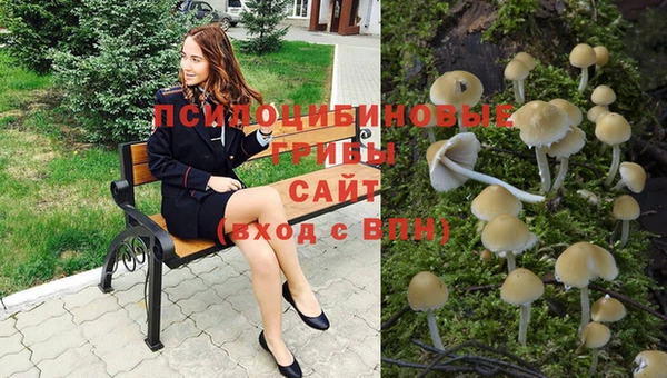 меф VHQ Козловка