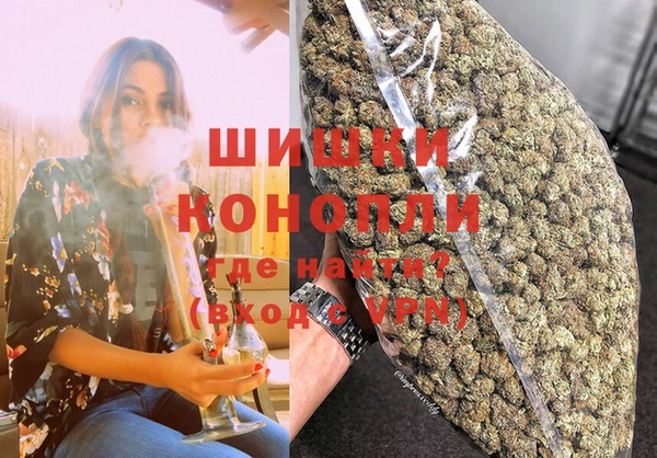 крисы Кодинск