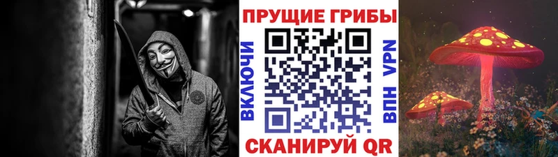 Купить  Демидов  Псилоцибиновые грибы мухоморы 